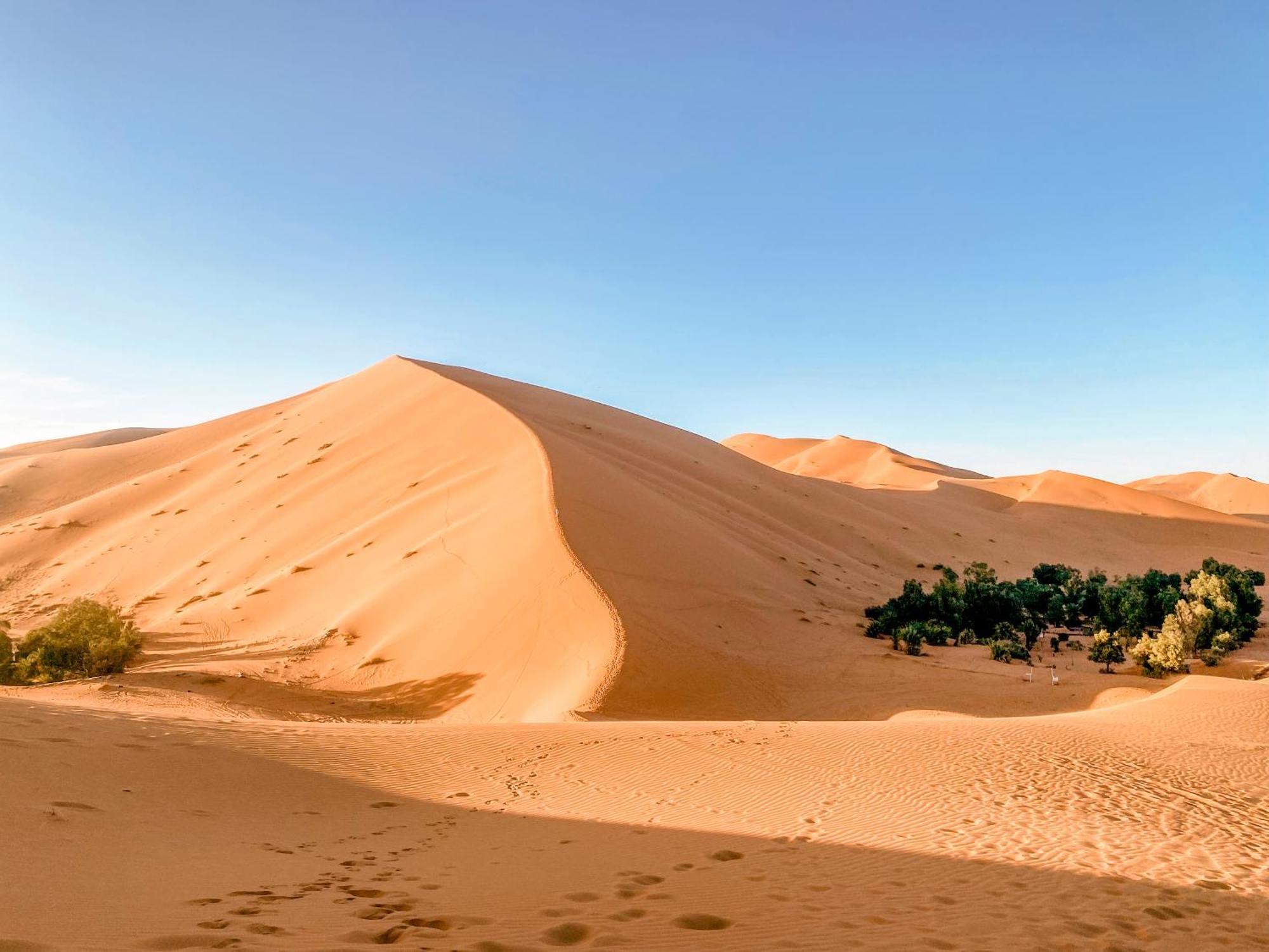Oasis Desert Camp Obira Мерзуга Екстер'єр фото